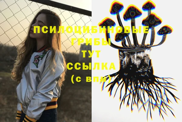 амф Беломорск