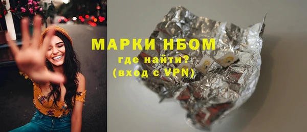индика Балахна