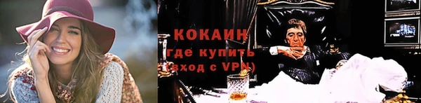 гашик Белокуриха