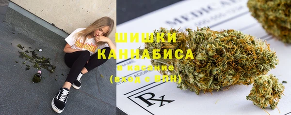 индика Балахна