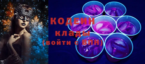 индика Балахна
