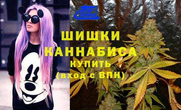 молекула духа Арсеньев