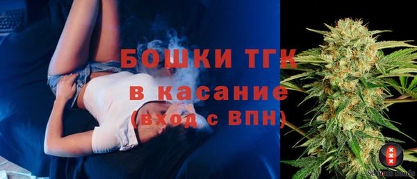 индика Балахна